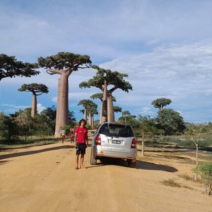 Kirindy Forest & Avenue of the Baobabs Tour from Morondava